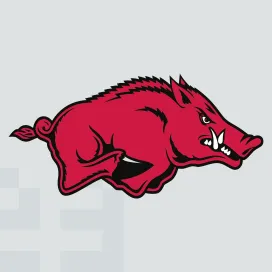 Arkansas razorbacks